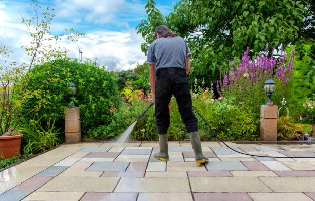 Best Animal Enclosure Cleaning  in Inez, TX